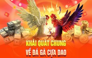 Đá gà cựa dao