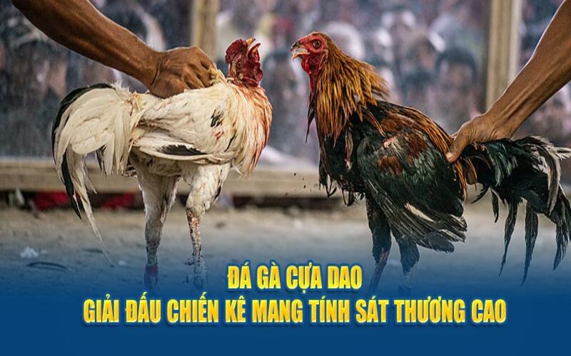 Đá gà cựa dao luật chơi