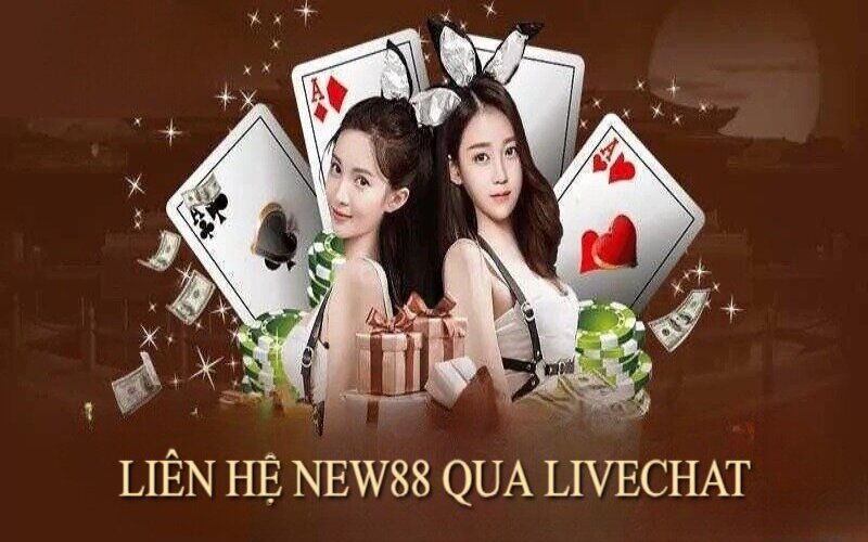 Liên hệ new88 qua livechat